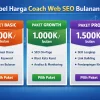 investasi Coach Web Seo