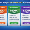 Coach Web Seo