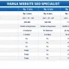 Layanan Website SEO organik