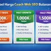 Harga paket Jasa COACH Web Seo Bulanan